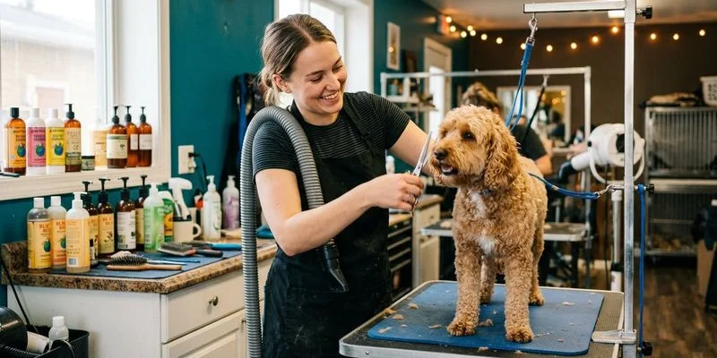 Professional groomer using specialized equipment to groom a dog in a salon