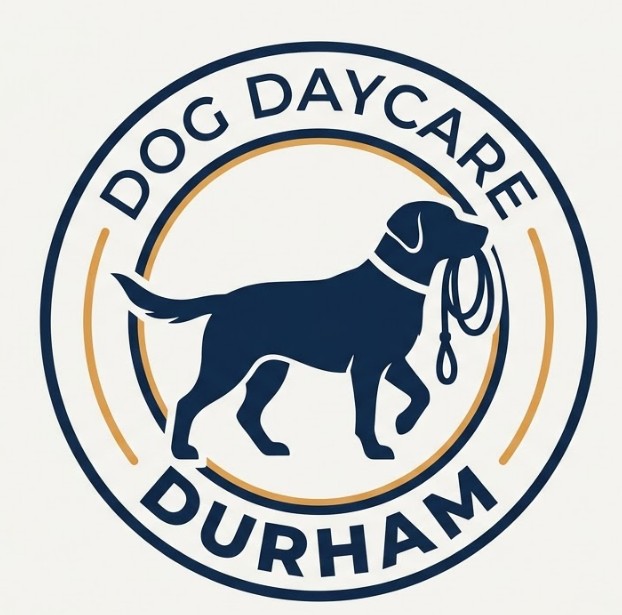 Dog Daycare Durham